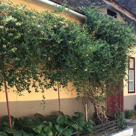 Iony Apartament Sibiu Exterior photo