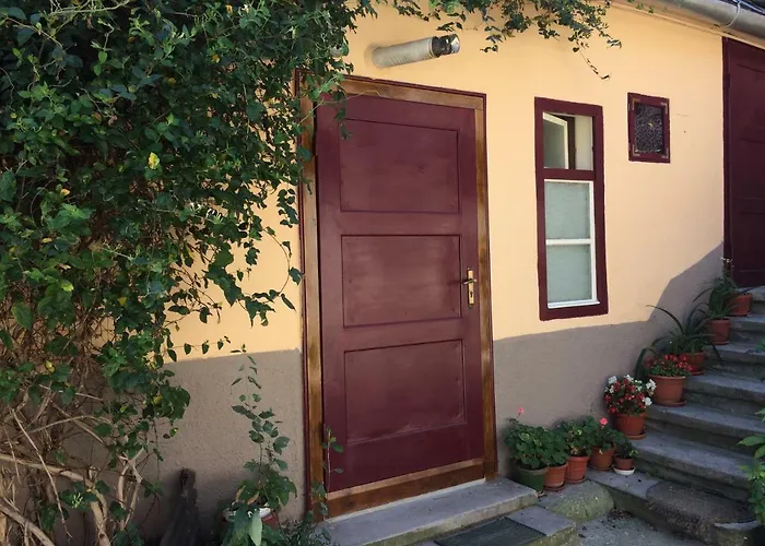Iony Apartament